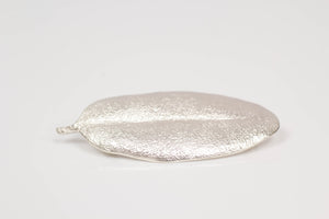 Pohutukawa Leaf Brooch - Small - Sterling Silver