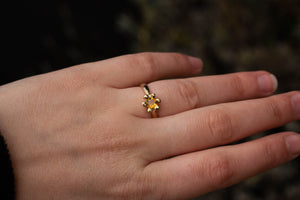 Sol Ring - 9ct Yellow Gold with Citrine