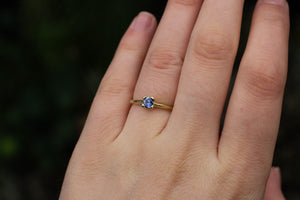 Droplet Ring - 14ct Yellow Gold with Ceylon Sapphire