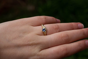 Cybele Ring - 14ct Yellow Gold with Ceylon Sapphire