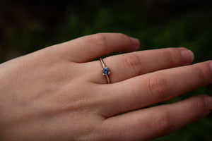 Droplet Ring - 14ct White Gold with Ceylon Sapphire