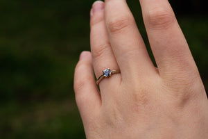 Droplet Ring - 14ct White Gold with Ceylon Sapphire