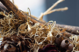 Seedling Drop Earrings - Gold Plated