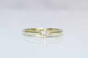 Seed Ring - 14ct Yellow Gold with Diamond