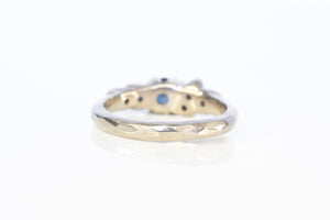 Stratus Ring - 14ct White Gold with Sapphires and Salt and Pepper Diamonds