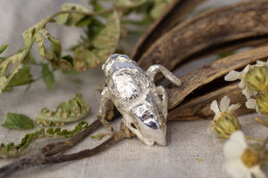 Cicada Shell Pin - Sterling Silver