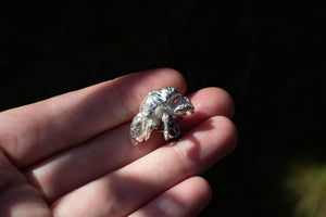 Cicada Shell Pin - Sterling Silver