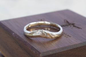 Mountain Fitted Band