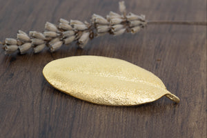 Pohutukawa Leaf Brooch - Small - Gold Plated