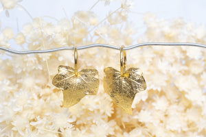 Ivy Leaf Hoop Earrings - Gold Plated