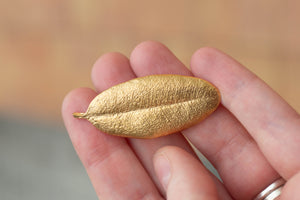 Pohutukawa Leaf Brooch - Small - Gold Plated