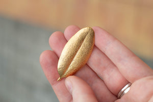 Pohutukawa Leaf Brooch - Small - Gold Plated