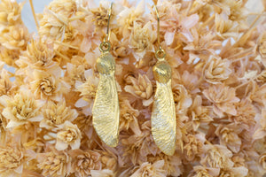 Sycamore Seed Earrings - Gold Plated