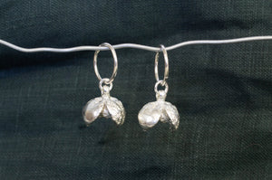 Pittosporum/ Kōhūhū Seed Pod Earrings - Sterling Silver