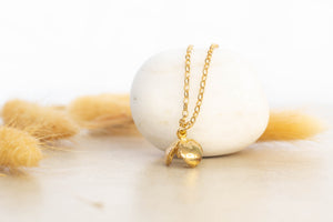 Pittosporum Seed Pod Necklace - Gold Plated