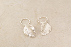 Ramarama Leaf Hoop Earrings - Sterling Silver