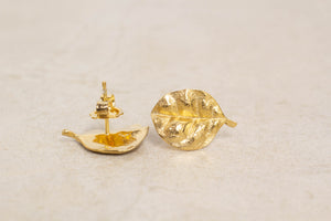 Ramarama Leaf Studs - Gold Plated