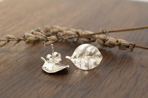 Ramarama Leaf Studs - Sterling Silver