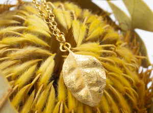 Ramarama Leaf Pendant - Gold Plated