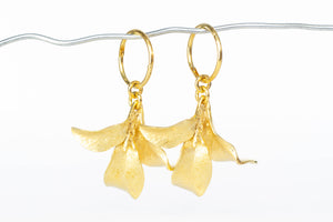 Waimea Hoop Earrings - Gold Plated