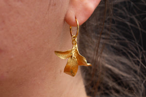 Waimea Hoop Earrings - Gold Plated