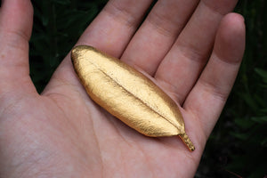 Pohutukawa Leaf Brooch - Large - Gold Plated