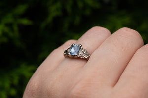 Damo Ring - 18ct White Gold with Square Montana Sapphire