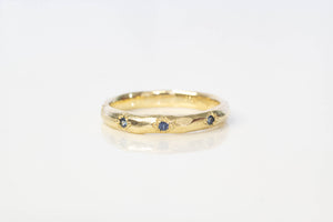 Terra Band with Sapphires - 9ct Yellow Gold