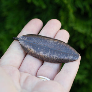 Pohutukawa Leaf Brooch - Large - Bronze
