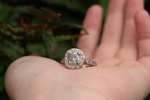 Halo Ring - 18ct White Gold with Salt and Pepper & white Diamonds
