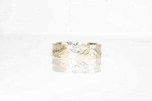 Ruapehu Mountain Band