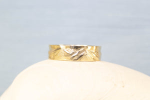 Ruapehu Mountain Band