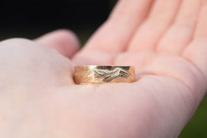 Ruapehu Mountain Band
