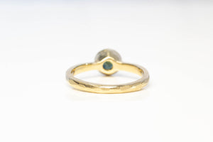 Pelagus Ring - 9ct Yellow Gold with Teal Queensland Sapphire