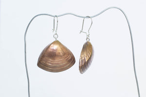 Shell Earrings - Bronze