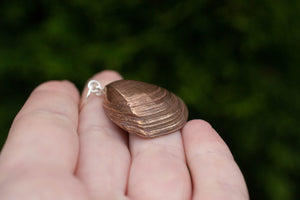 Shell Earrings - Bronze