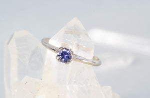 Droplet Ring - 14ct White Gold with Ceylon Sapphire