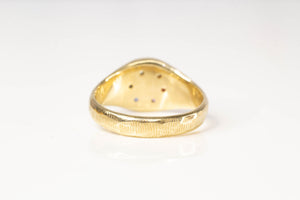 Rainbow Signet Ring - 9ct Yellow Gold with Sapphires