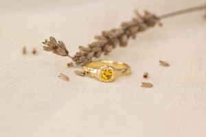 Spring Ring - Yellow Gold with Citrine