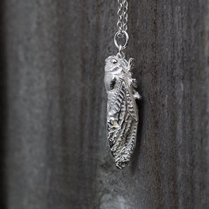 Kihikihi/Cicada Pendant - Sterling Silver