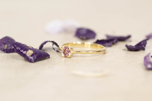 Droplet Ring - Yellow Gold with Rose Garnet
