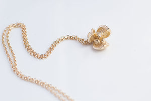 Pittosporum Seed Pod Necklace - Gold Plated