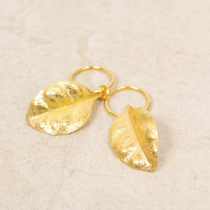 Ramarama Leaf Hoop Earrings - Gold Plated