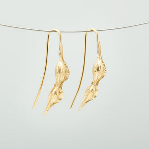 Kowhai Seed Pod Earrings - Gold Plated