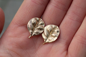 Ramarama Leaf Stud Earrings  - 9ct Yellow Gold
