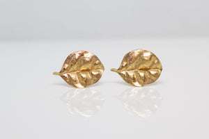 Ramarama Leaf Stud Earrings  - 9ct Yellow Gold