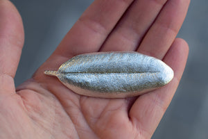 Pohutukawa Leaf Brooch - Large - Sterling Silver